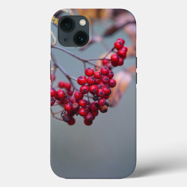 Case-Mate Tough Apple iPhone 13 Case (Back)