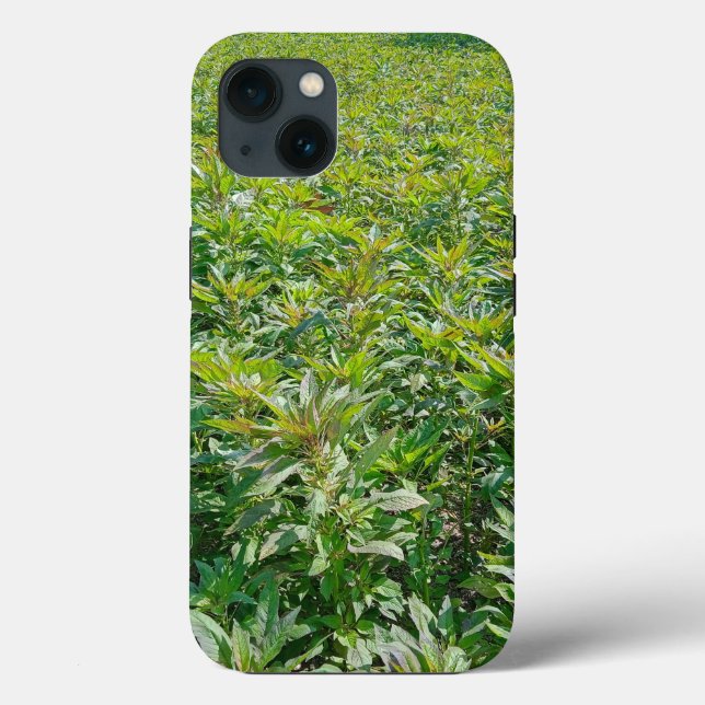 Case-Mate Tough Apple iPhone 13 Case (Back)