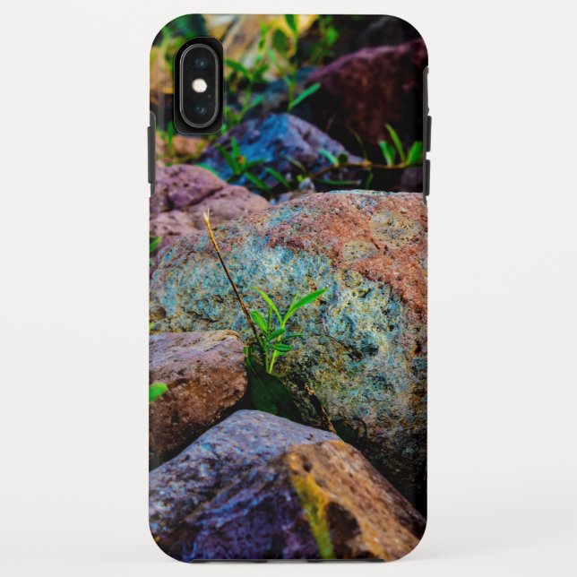 Case-Mate Tough Apple iPhone XS Max Case (Back)