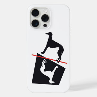 Case with Galgos pattern (adaptable model)