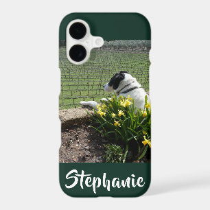 Casemate Dog and Grape Vines iPhone XR XS Max