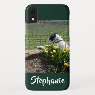 Casemate Dog and Grape Vines iPhone XR XS Max iPhone XR Case
