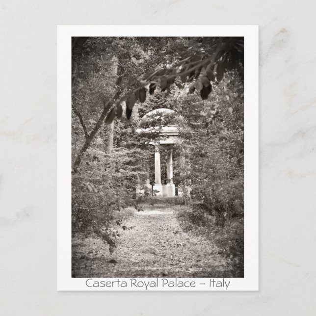 Caserta Royal Palace Postcard (Front)