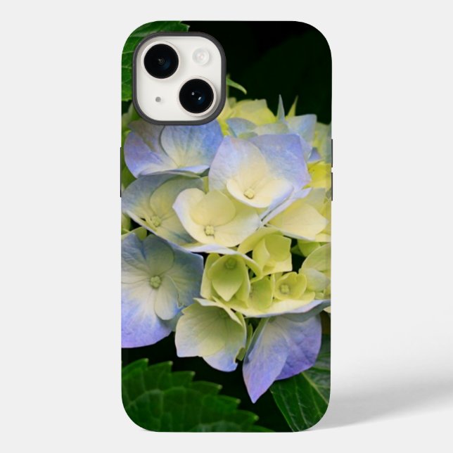 cases phone (Back)