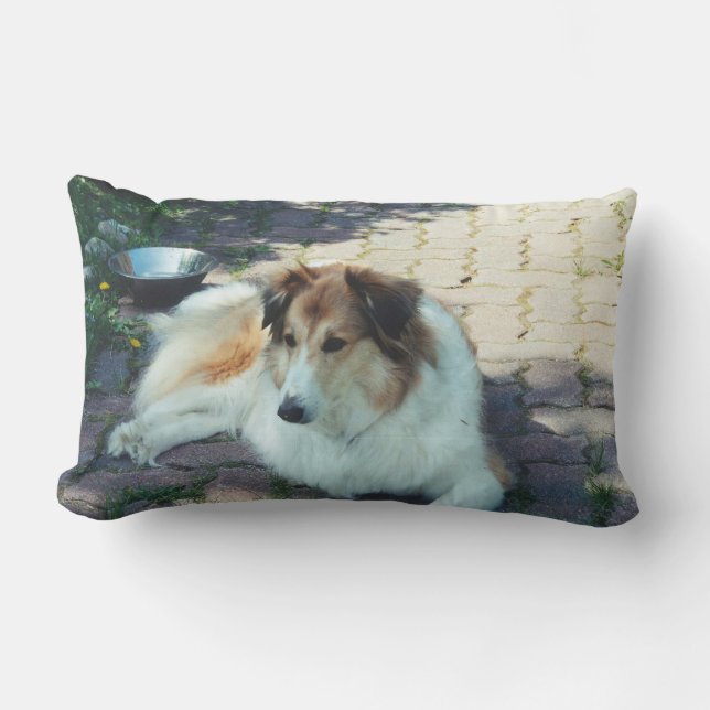 Casey collie lumbar cushion (Front)