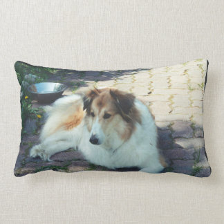 Casey collie lumbar cushion