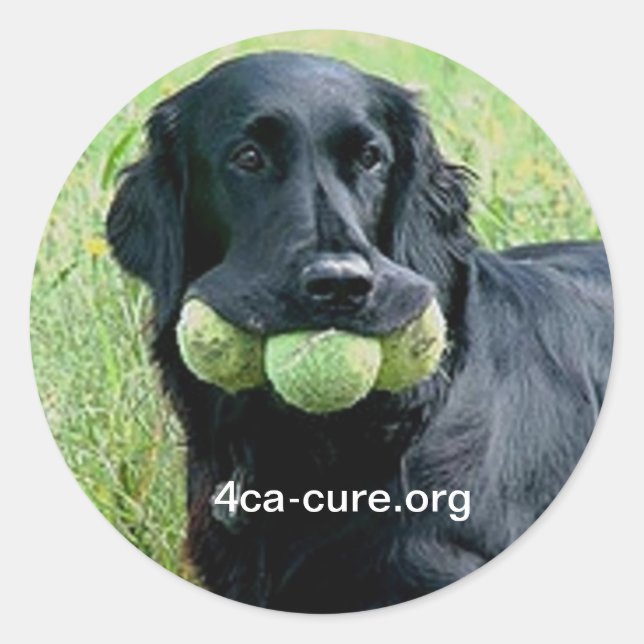 Casey Sticker (Front)