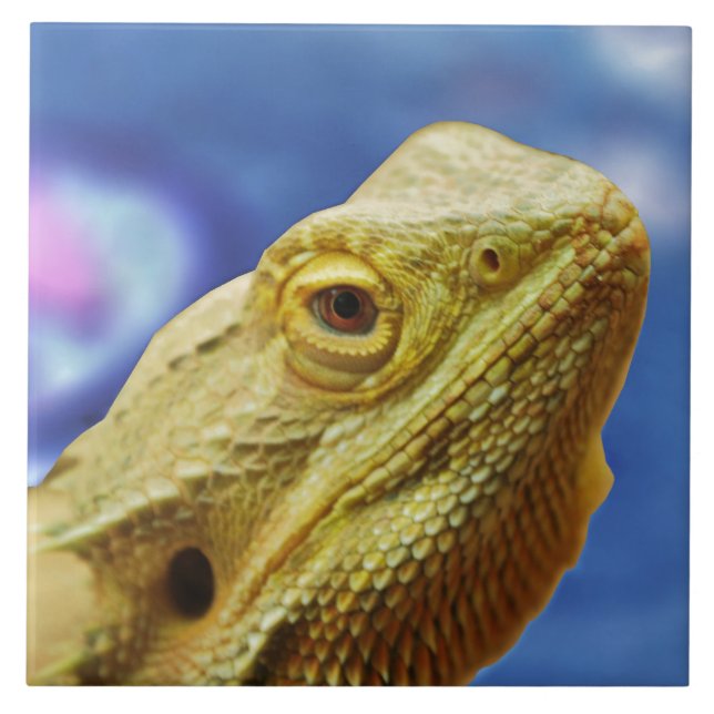 cash ceramic tile (Front)