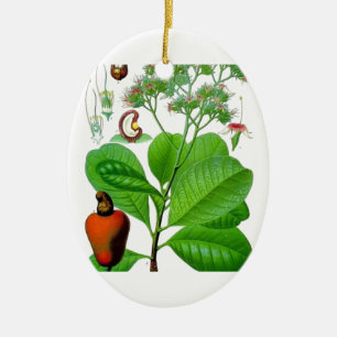 Cashew Ceramic Ornament