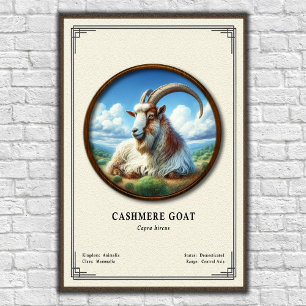 Cashmere Goat Zoology Series Poster