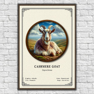 Cashmere Goat Zoology Series Poster