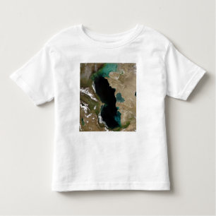 Caspian Sea Toddler T-Shirt