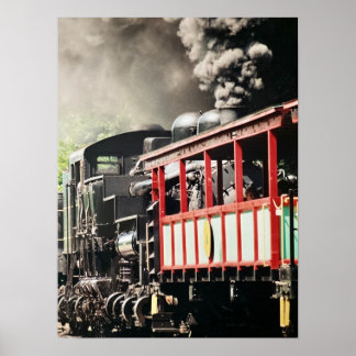 "Cass Scenic Railroad" - Photograph Poster