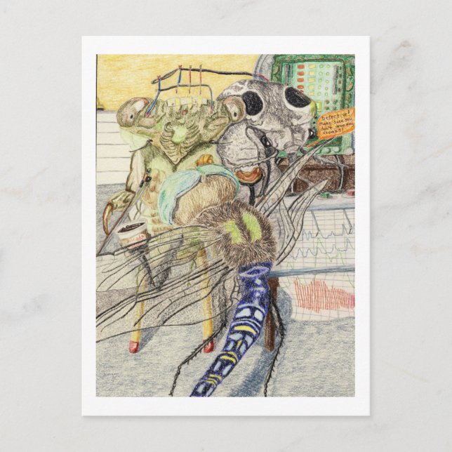 Cassandra The Cicada Has A Lie Detector Test Postcard (Front)