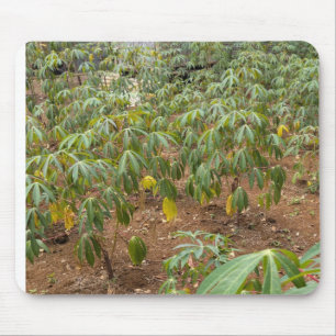 Cassava cultivation mouse pad