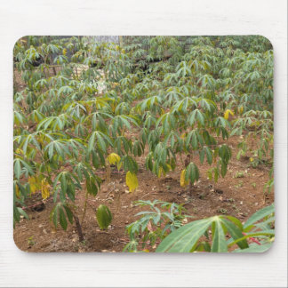 Cassava Plantation Mouse Pad