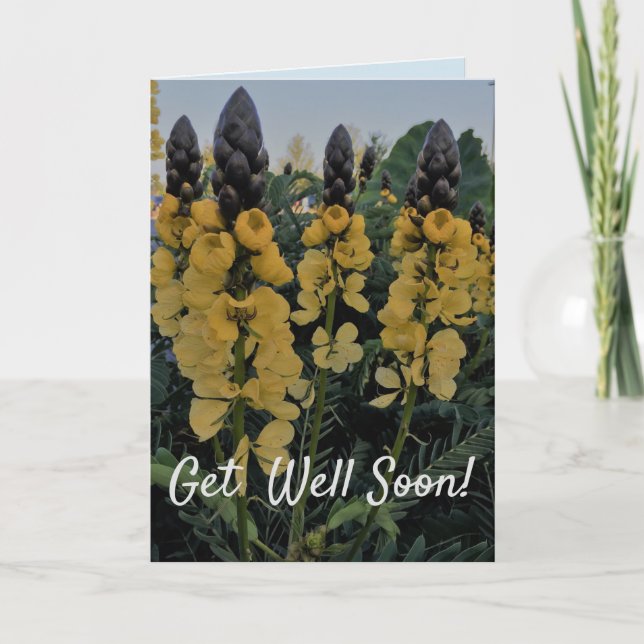 CASSIA GET WELL CARD - JOURNEY FOR A CURE (Front)