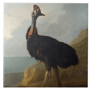 Cassowary (Australian Bird) (Wild Animal Art) Ceramic Tile