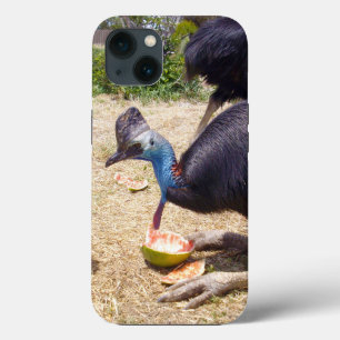 Cassowary Bird Eating Melons,  iPhone 13 Case