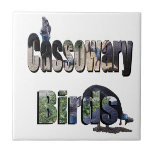 Cassowary Birds Is The Name, Ceramic Tile