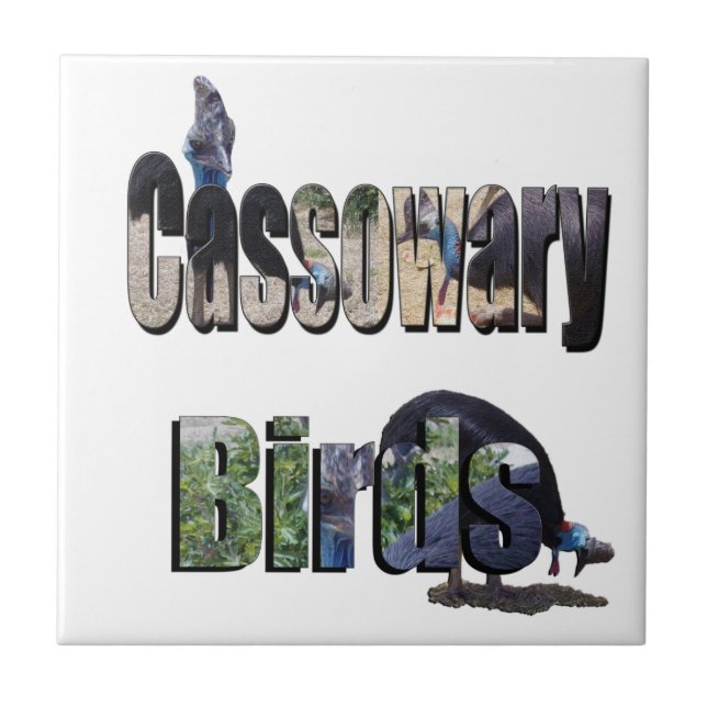Cassowary Birds Is The Name, Ceramic Tile (Front)
