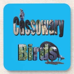 Cassowary Birds Picture Logo, Coaster