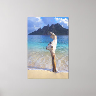CASTAWAY WOOD 40x60 Canvas Print