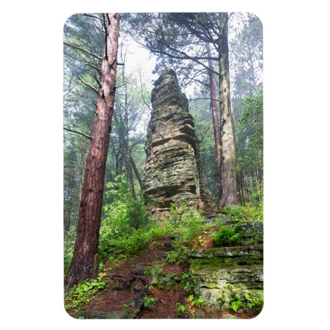 Castellated Mound in State Forest Magnet (Vertical)