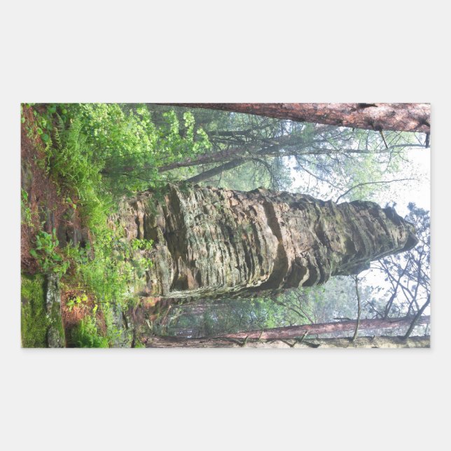 Castellated Mound in State Forest Rectangular Sticker (Front)