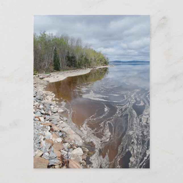 Castine Postcard - 1 (Front)