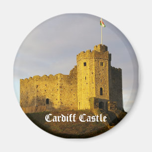 Castle at Sunset Magnet