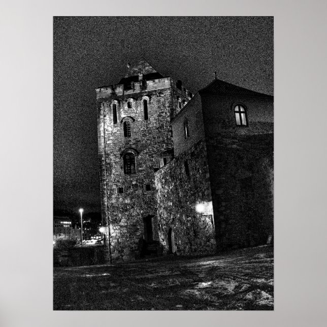 Castle in Bergen Poster (Front)