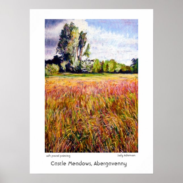 Castle Meadows, Abergavenny Print or Poster (Front)
