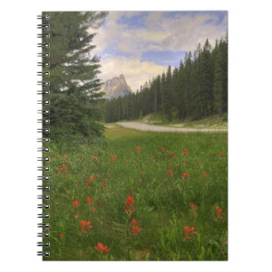 Castle Mountain Banff Notebook