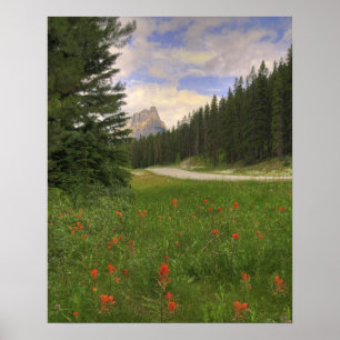 Castle Mountain Banff Poster