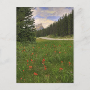 Castle Mountain Postcard