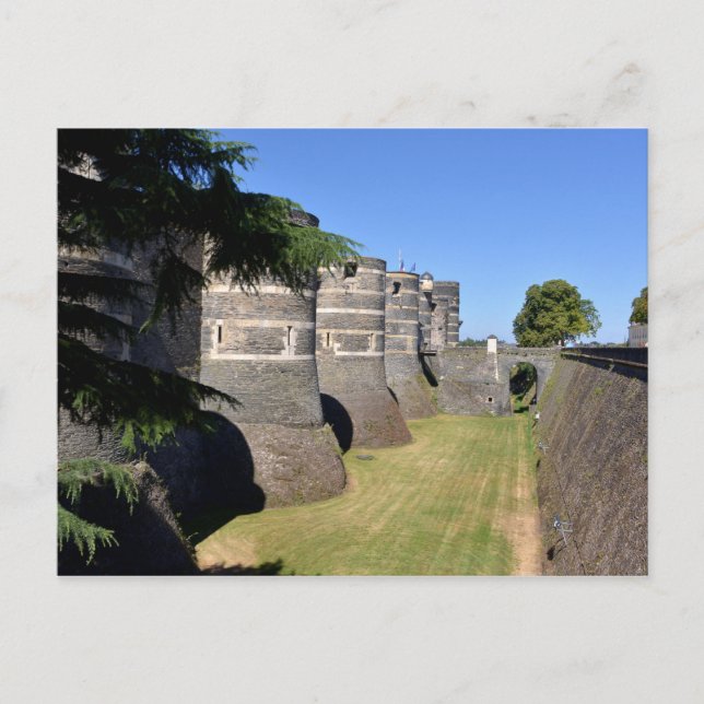 Castle of Angers in France Postcard (Front)