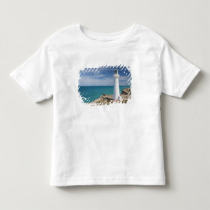 Castle Point Lighthouse, Castlepoint, Wairarapa, Toddler T-Shirt