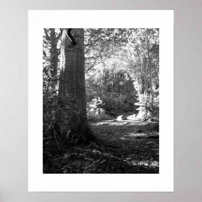 Castlehead Wood: Keswick Poster (Front)