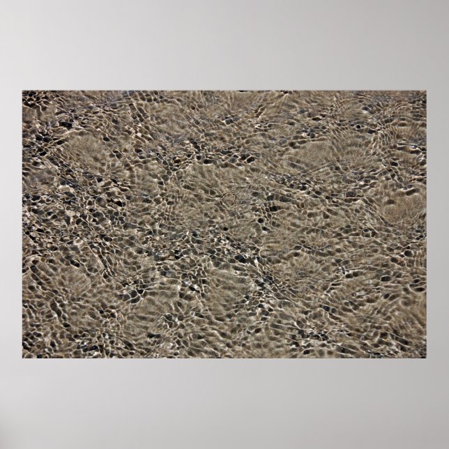 Castlepoint Poster (Front)