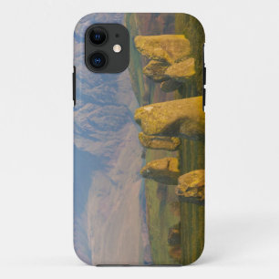 Castlerigg Stone Circle, Lake District, Cumbria, iPhone 11 Case