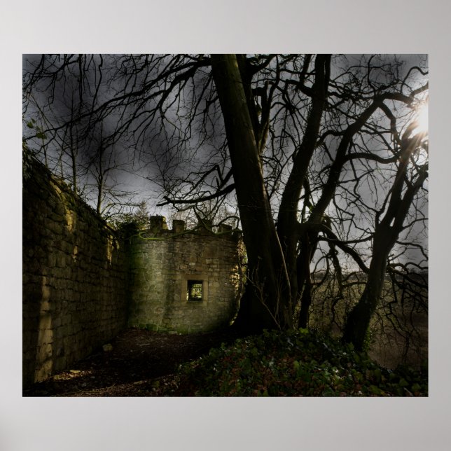 Castles in my Mind Poster (Front)