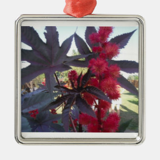 Castor Bean Christmas Ornament