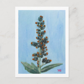 Castor Bean Plant Postcard