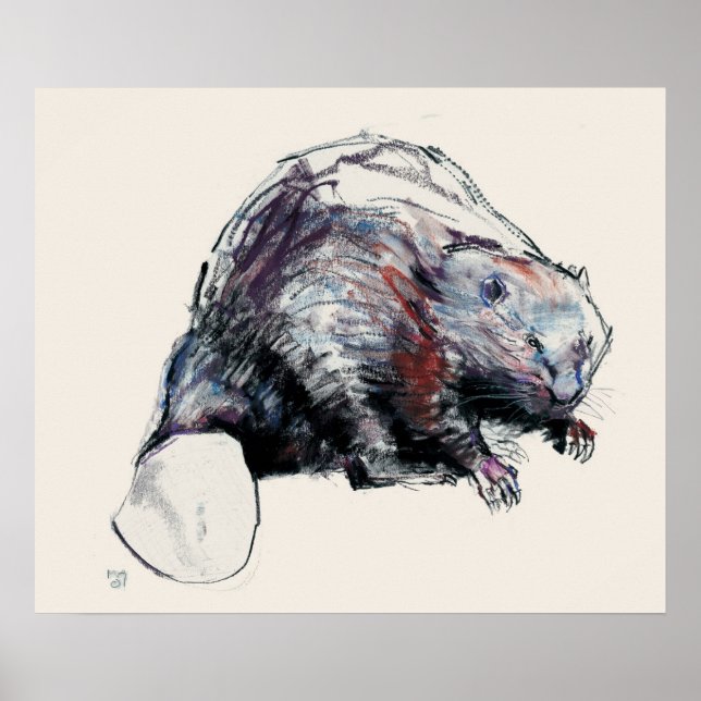 Castor Fibre 2001 Poster (Front)