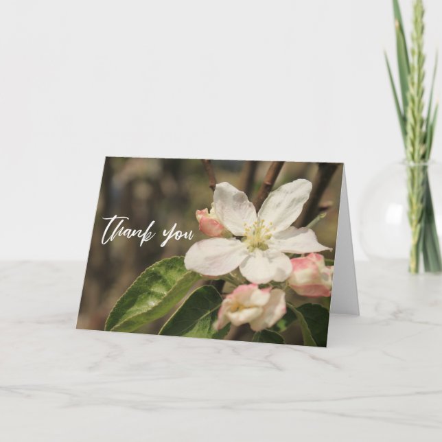 Casual Handwriting Thank You Apple Blossoms Card (Front)