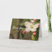 Casual Handwriting Thank You Apple Blossoms