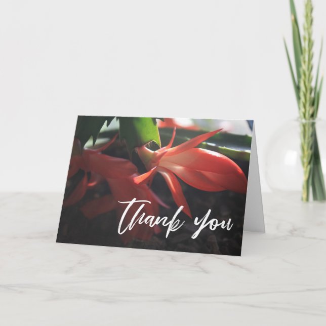 Casual Handwriting Thank You Christmas Cactus Card (Front)