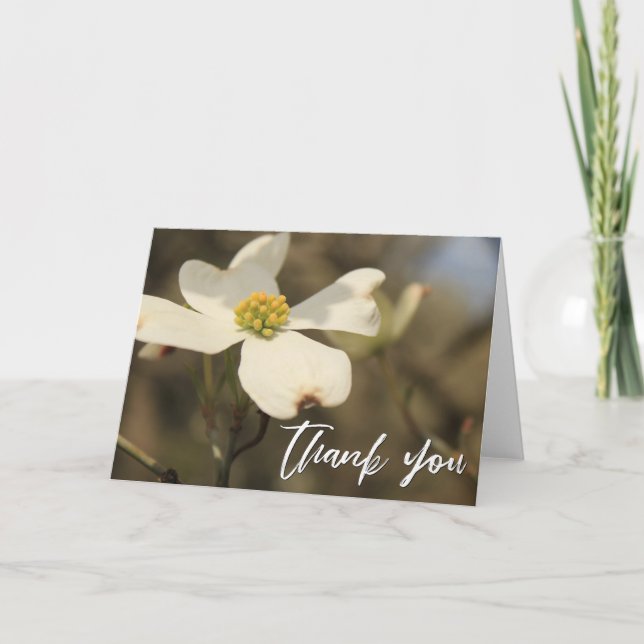 Casual Handwriting Thank You Dogwood Blossom Card (Front)