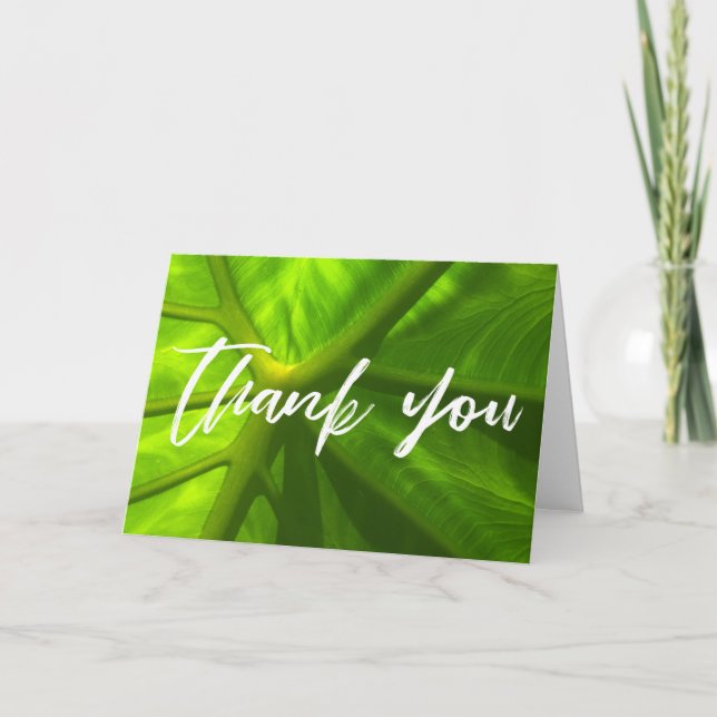 Casual Handwriting Thank You on Bold Elephant Ear Card (Front)